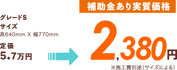 [補助金あり実質価格]4,630円